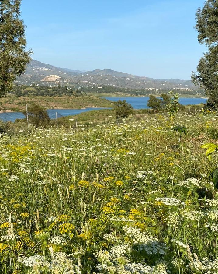 Vila La Rustica En Vinuela, Piscina Privada Exteriér fotografie