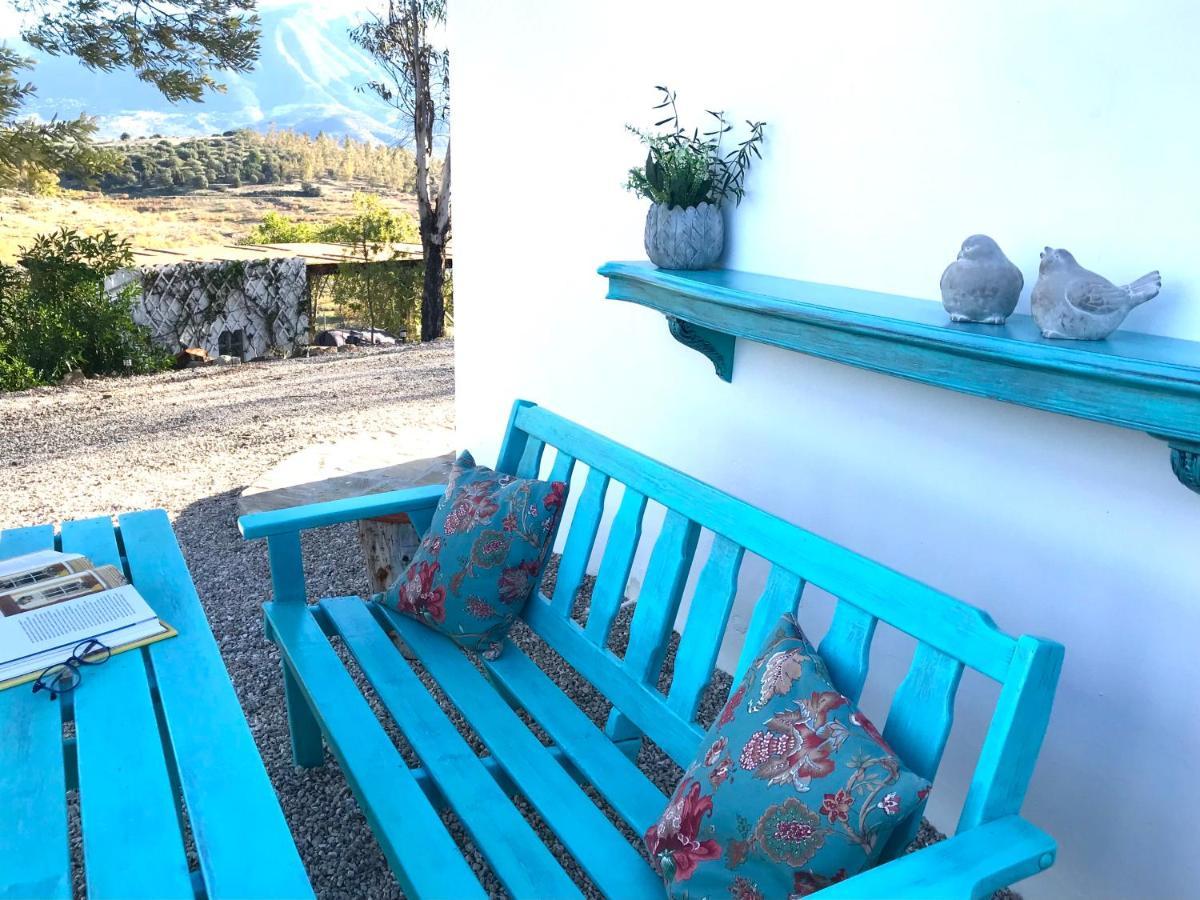 Vila La Rustica En Vinuela, Piscina Privada Exteriér fotografie