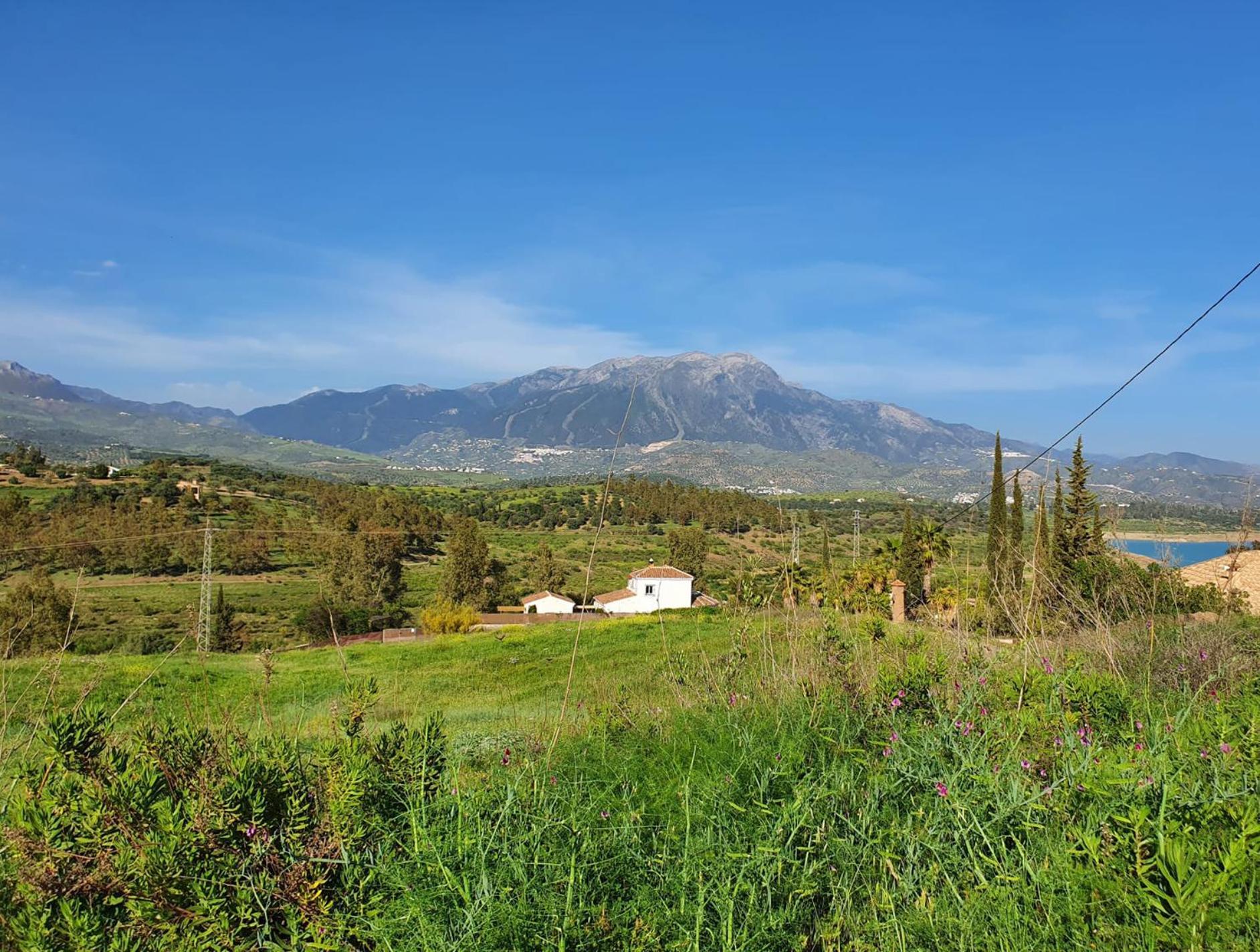 Vila La Rustica En Vinuela, Piscina Privada Exteriér fotografie